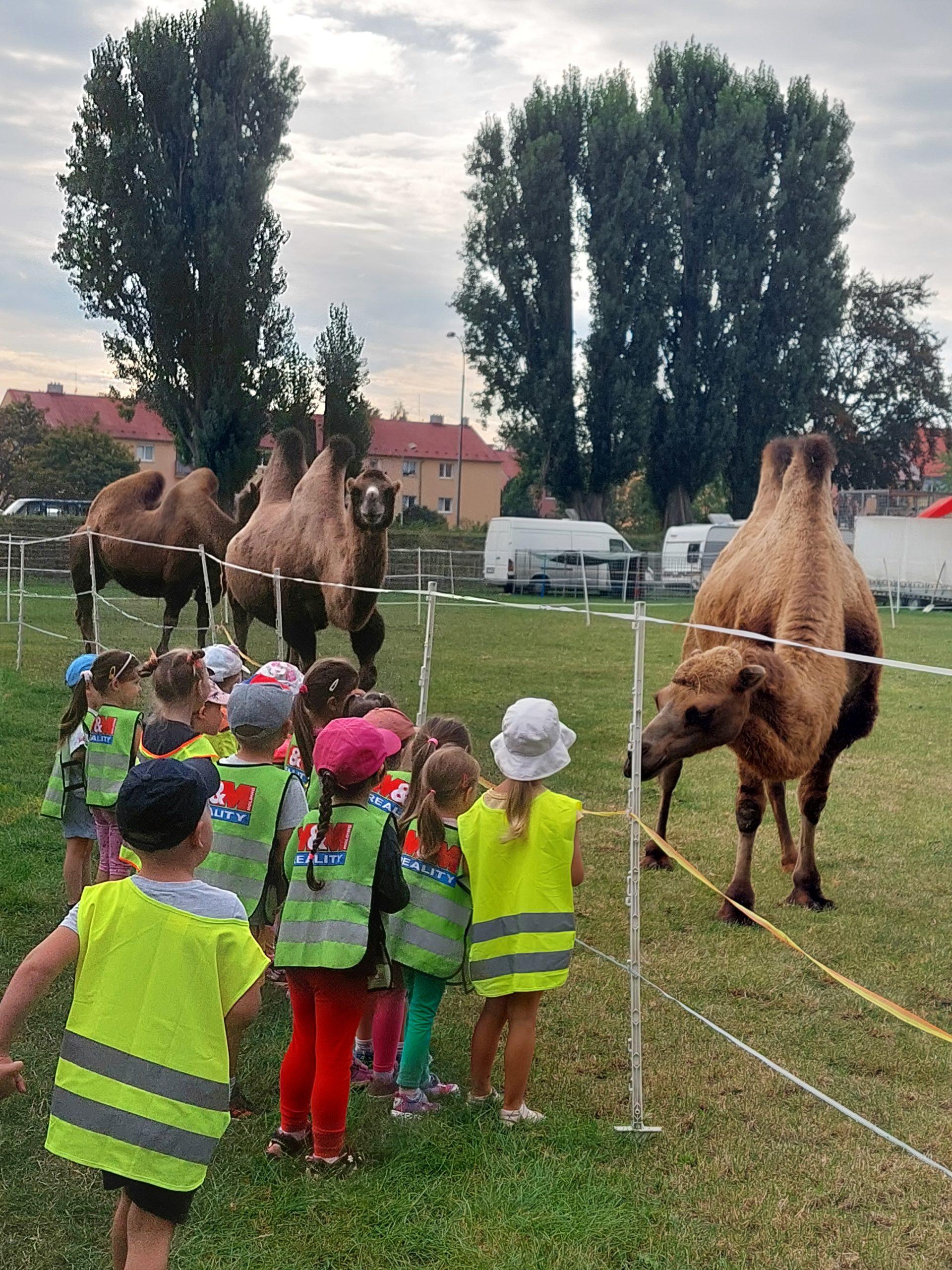 na návštěvě u cirkusu (5)