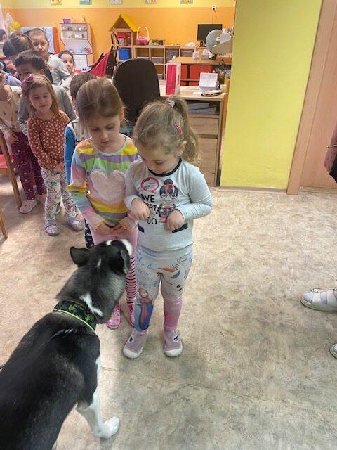 Mašérský pes C (10)