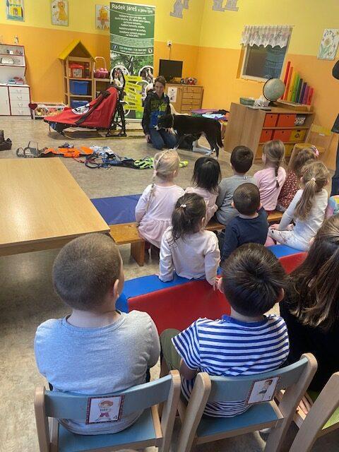 Mašérský pes C (37)