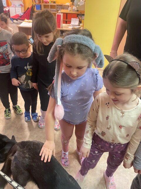 Mašérský pes C (9)