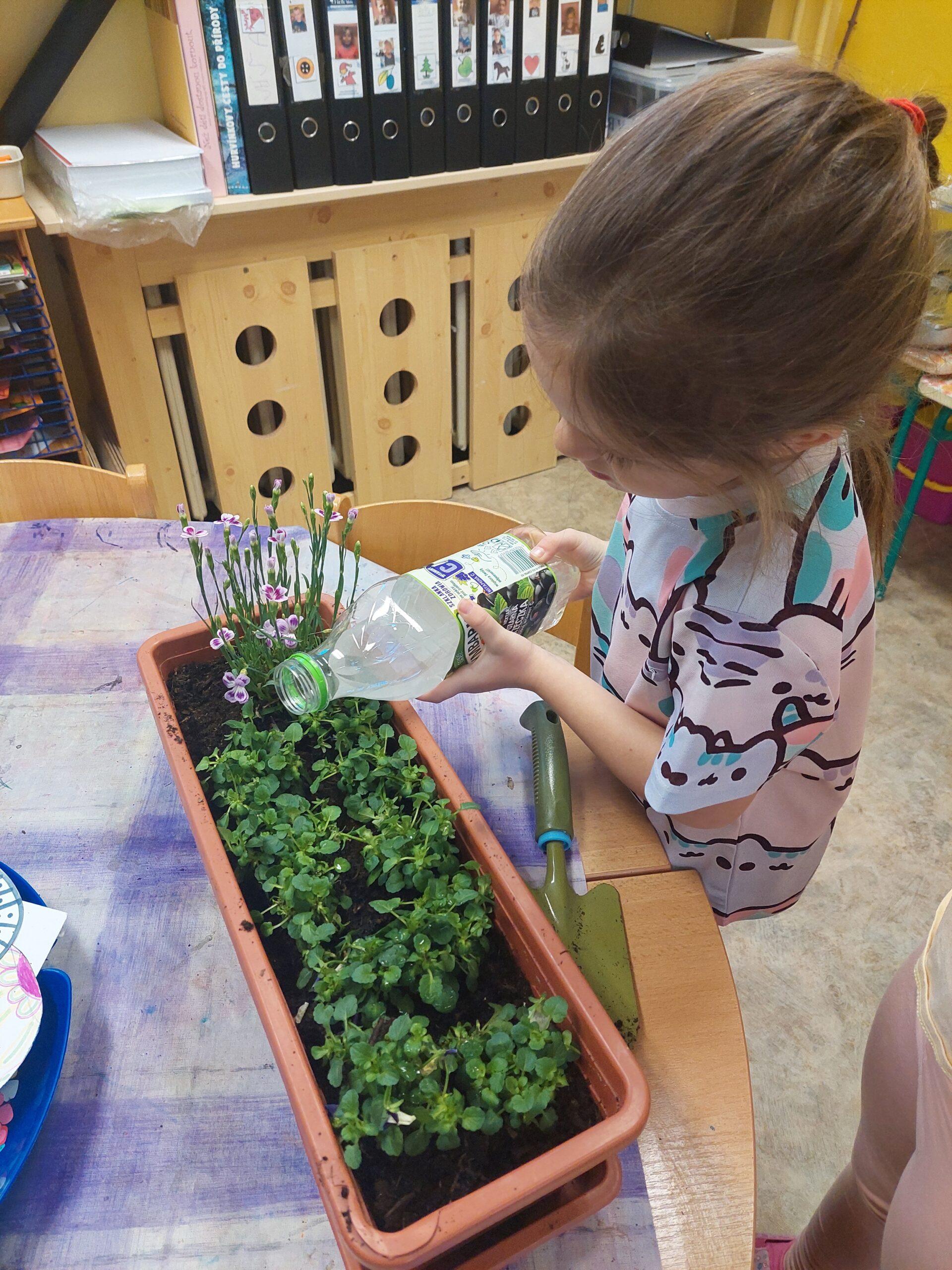 příprava zahrádky v truhlíku (1)