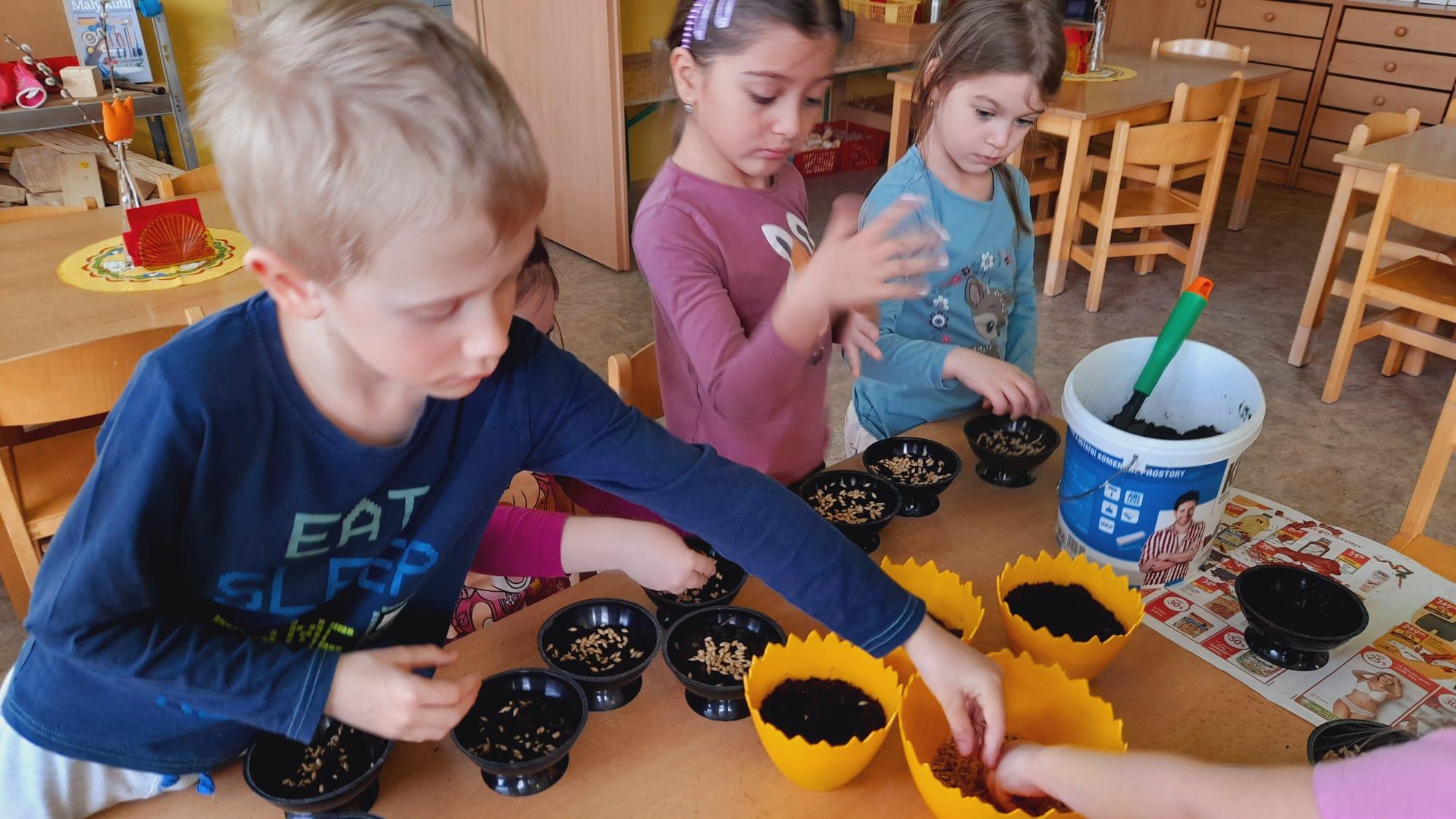 Třída D velikonoce (4)