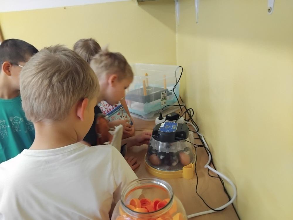 pozorování líhně (1)