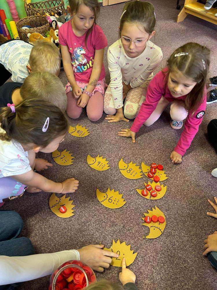 Třída D září (1)