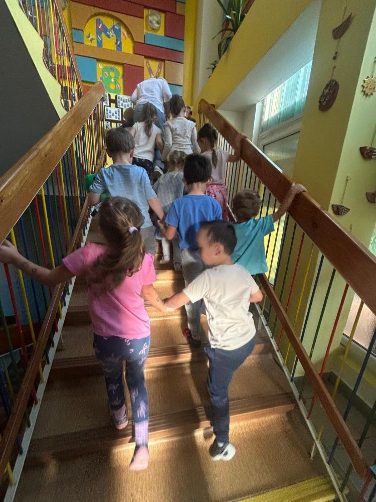 Třída D září (1)