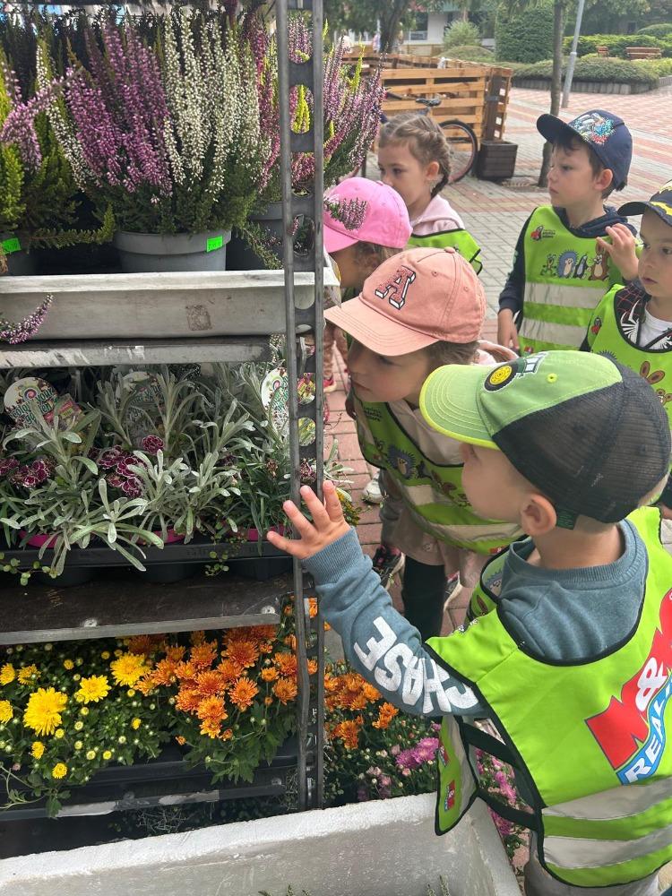 Třída D září (13)