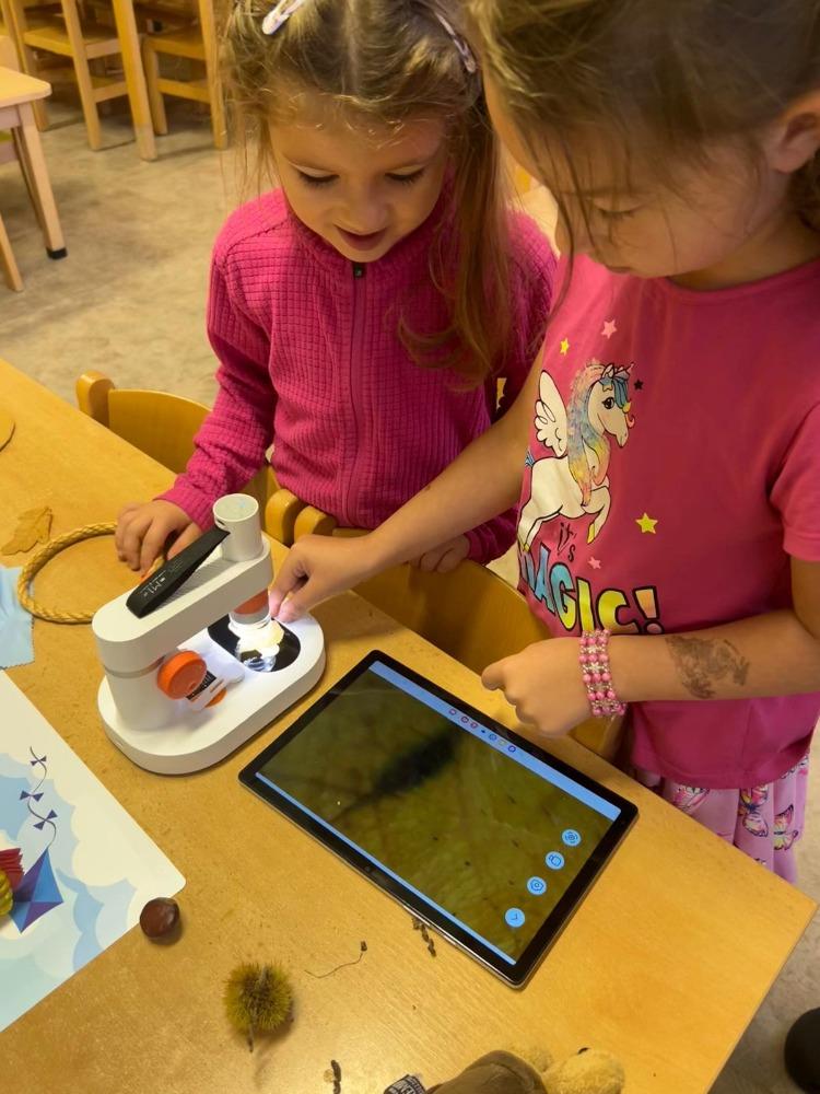 Třída D září (21)