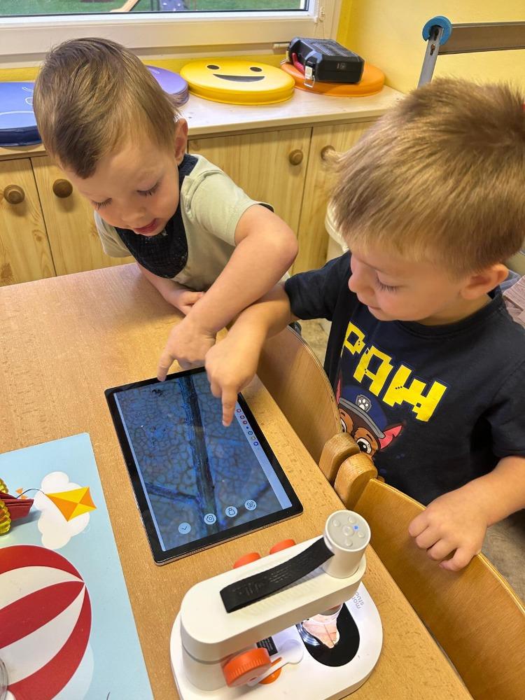 Třída D září (22)