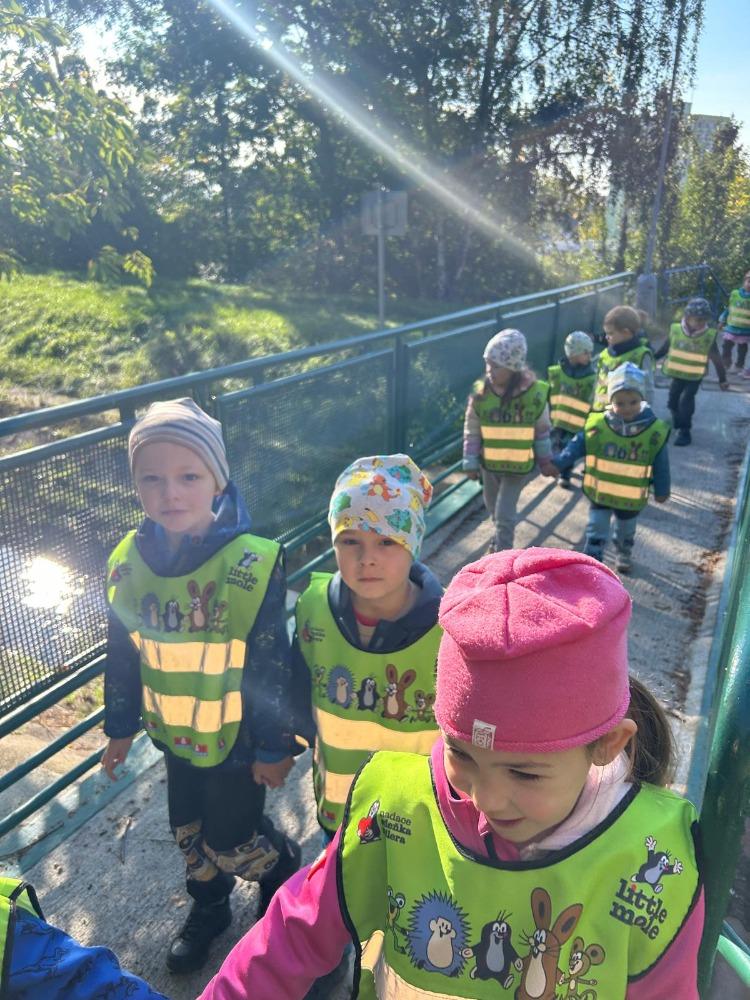 Aktivity 29.9. - 3.10 (2)