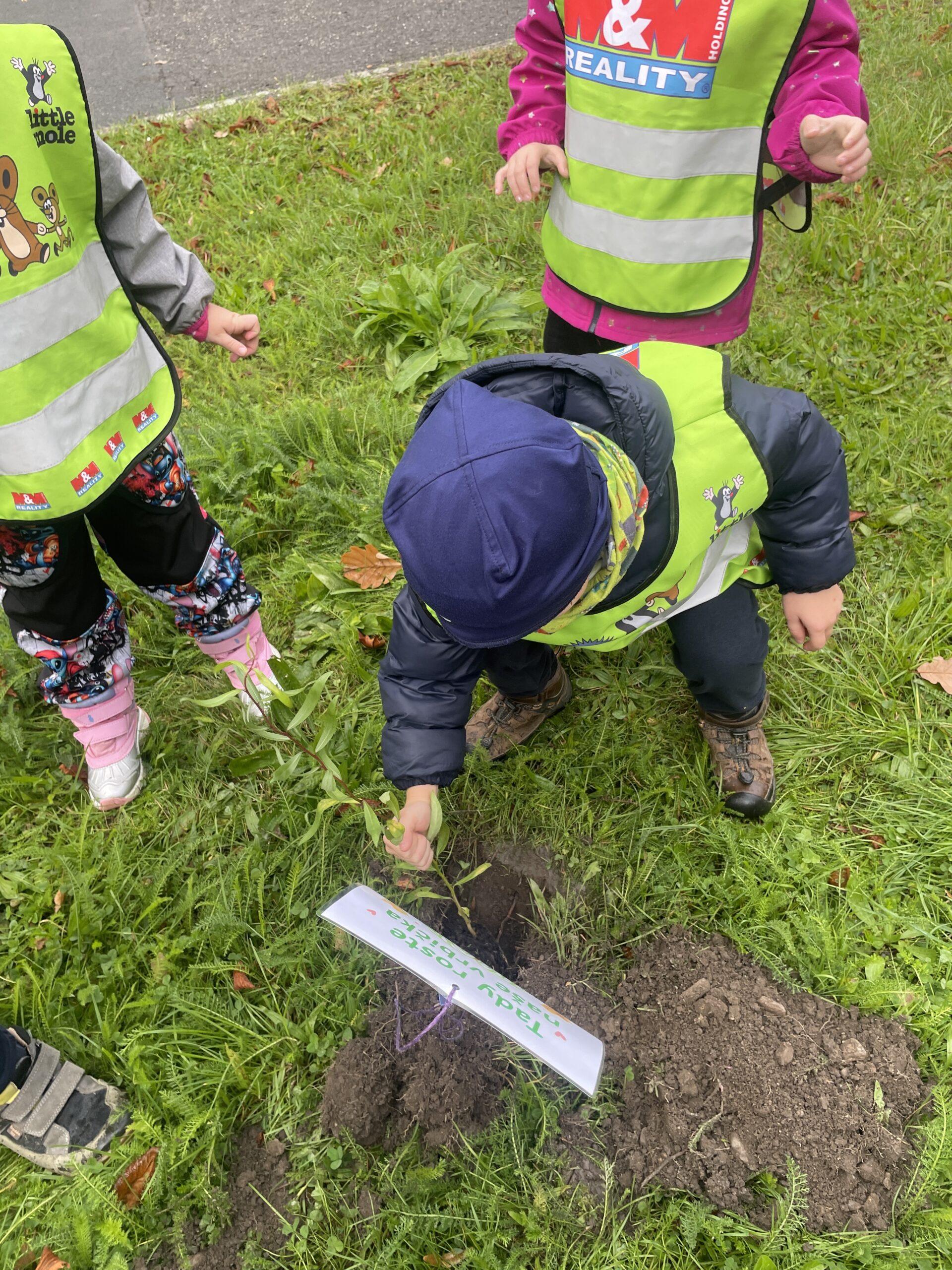 Den stromů MŠ Abeceda (1)