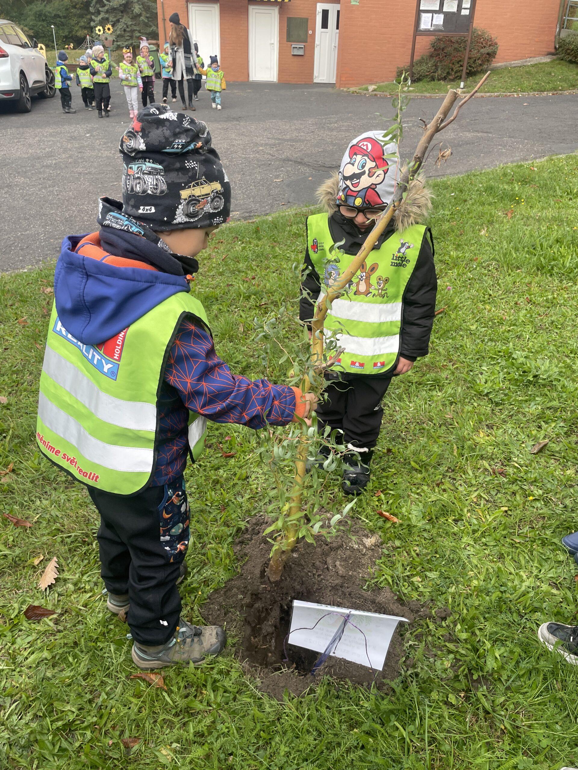 Den stromů MŠ Abeceda (2)