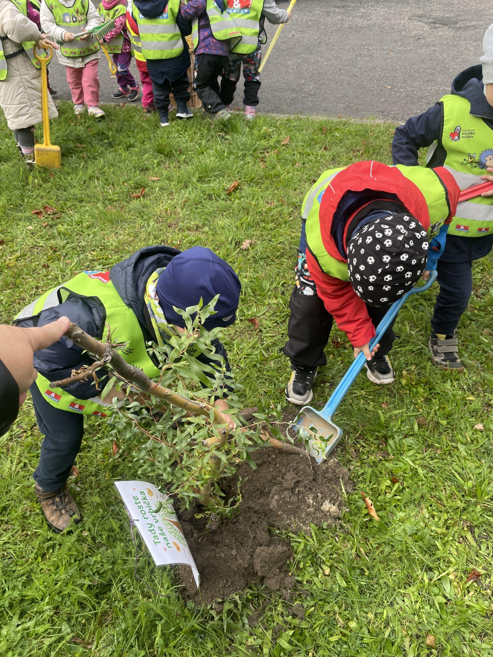 Den stromů MŠ Abeceda (4)