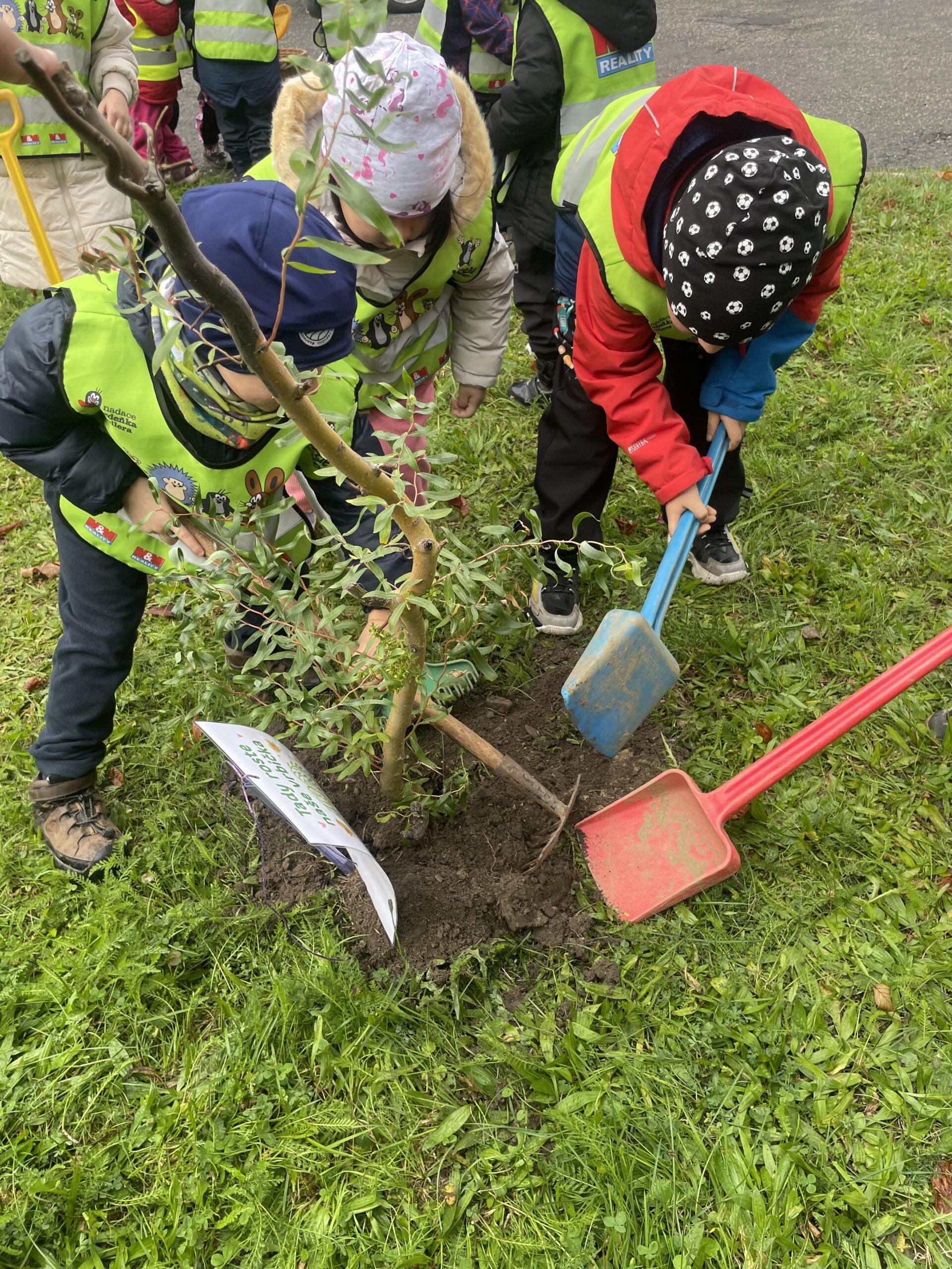 Den stromů MŠ Abeceda (6)