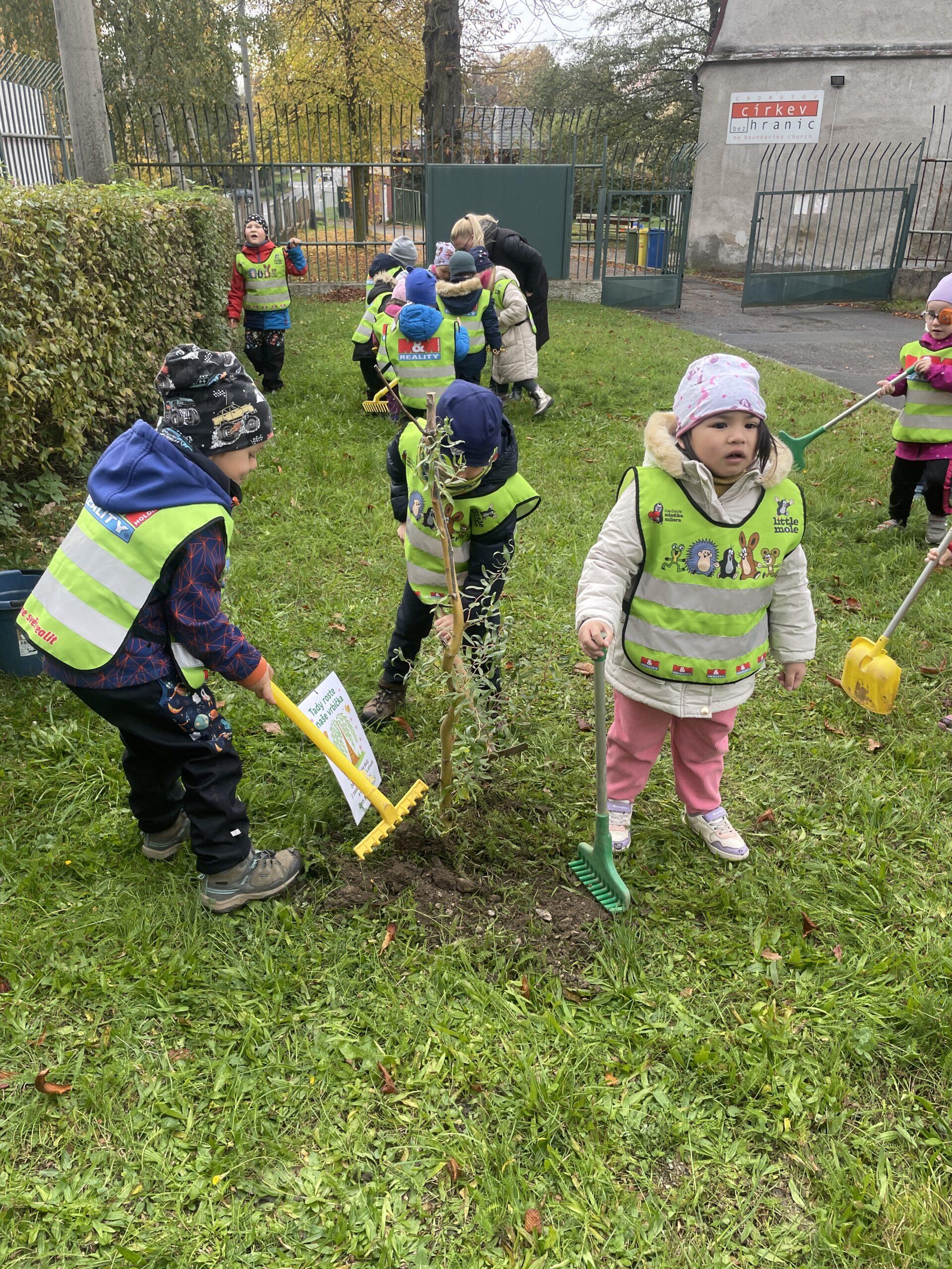 Den stromů MŠ Abeceda (7)