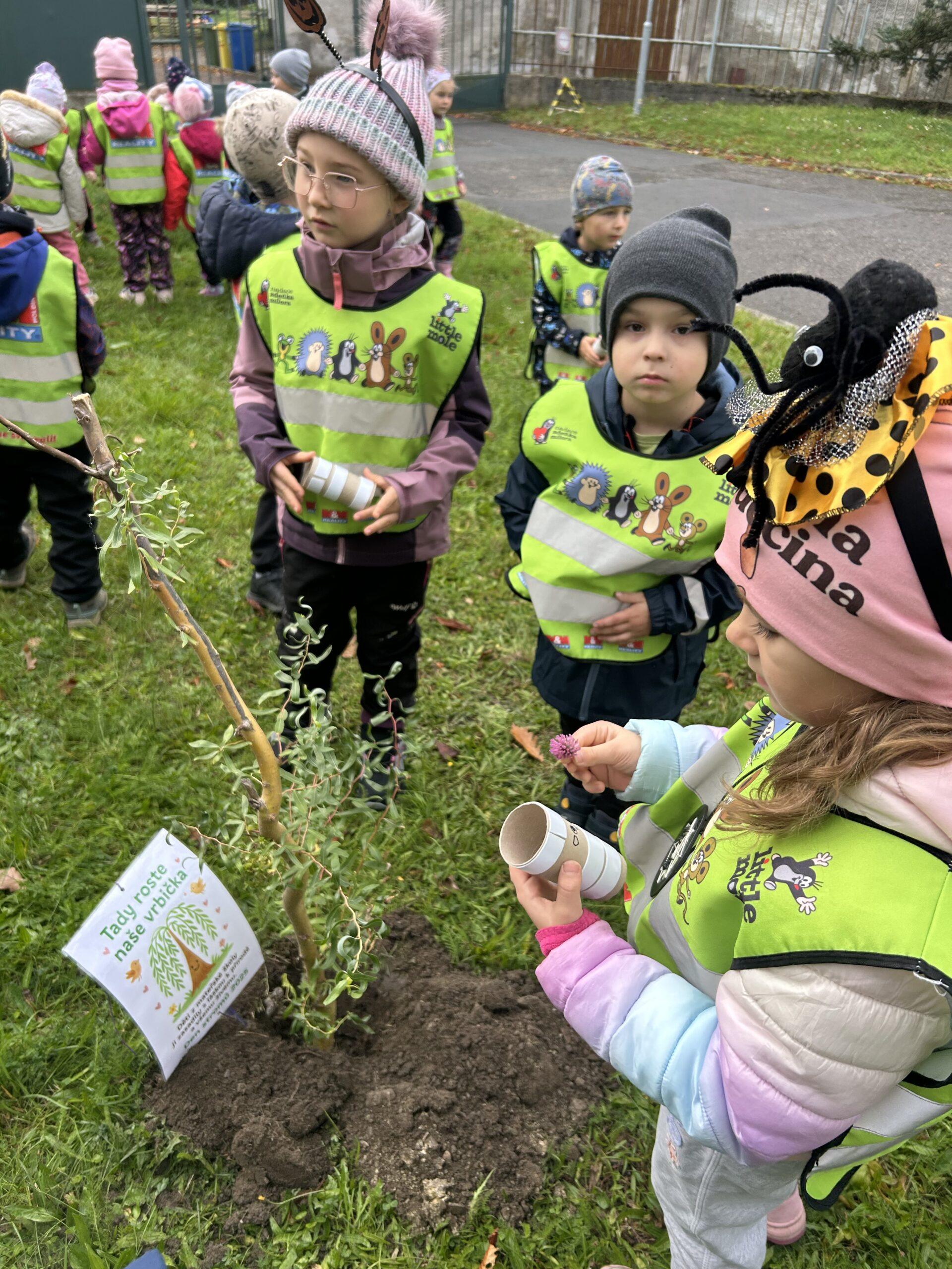 Den stromů MŠ Abeceda (8)