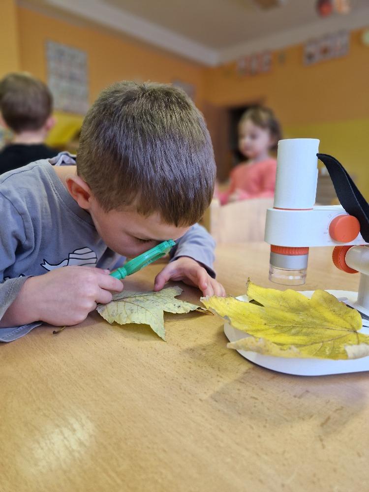 Podzim 6. - 10.10. - C (1)