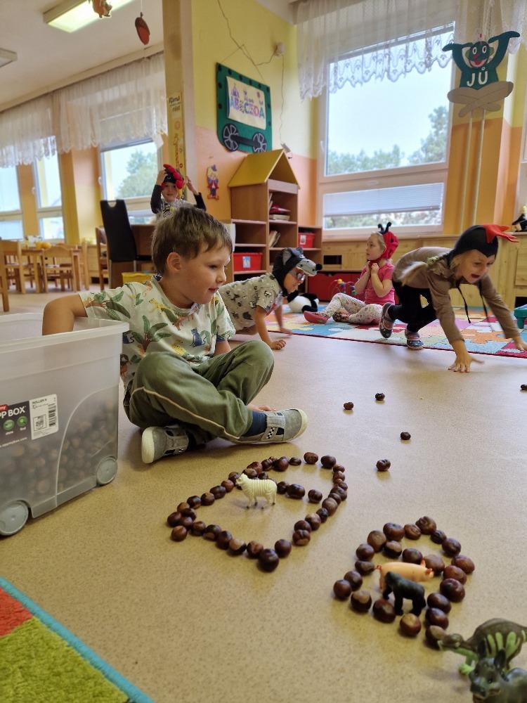 Podzim 6. - 10.10. - C (18)