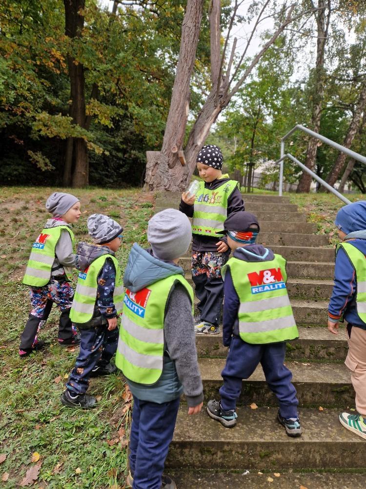 Podzim 6. - 10.10. - C (19)