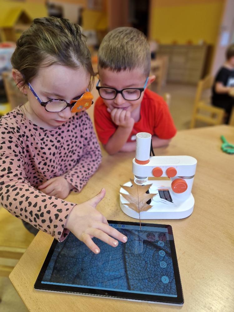 Podzim 6. - 10.10. - C (27)