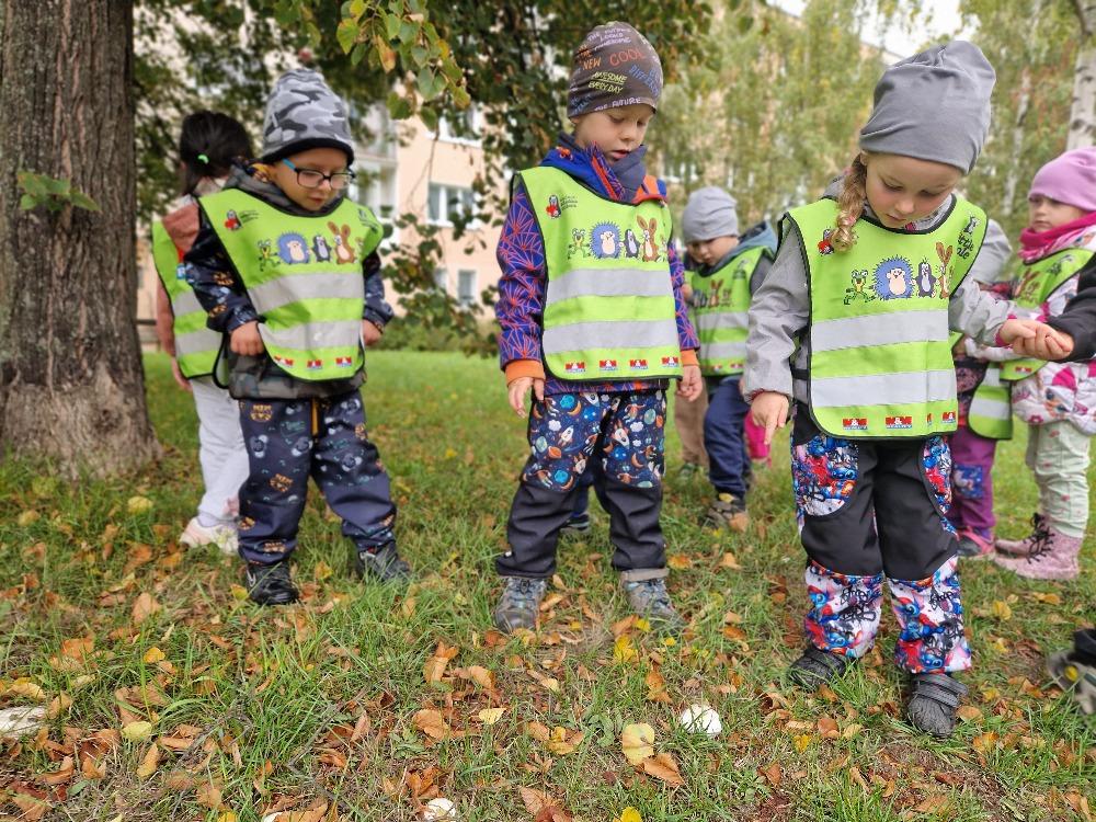 Podzim 6. - 10.10. - C (29)