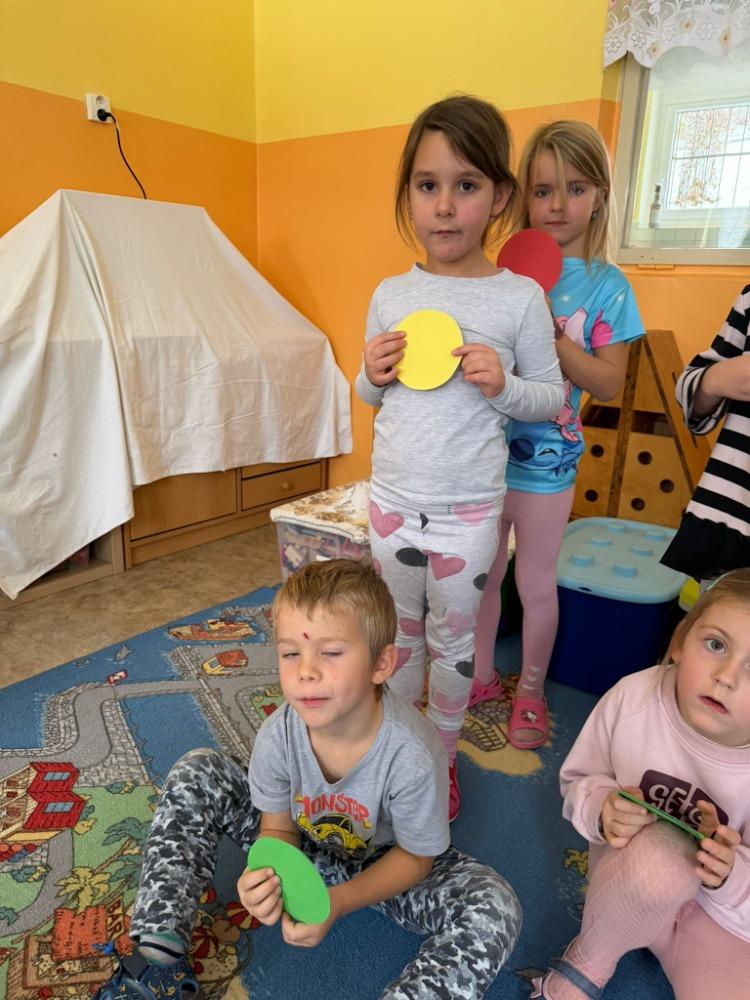 Městská policie (17)