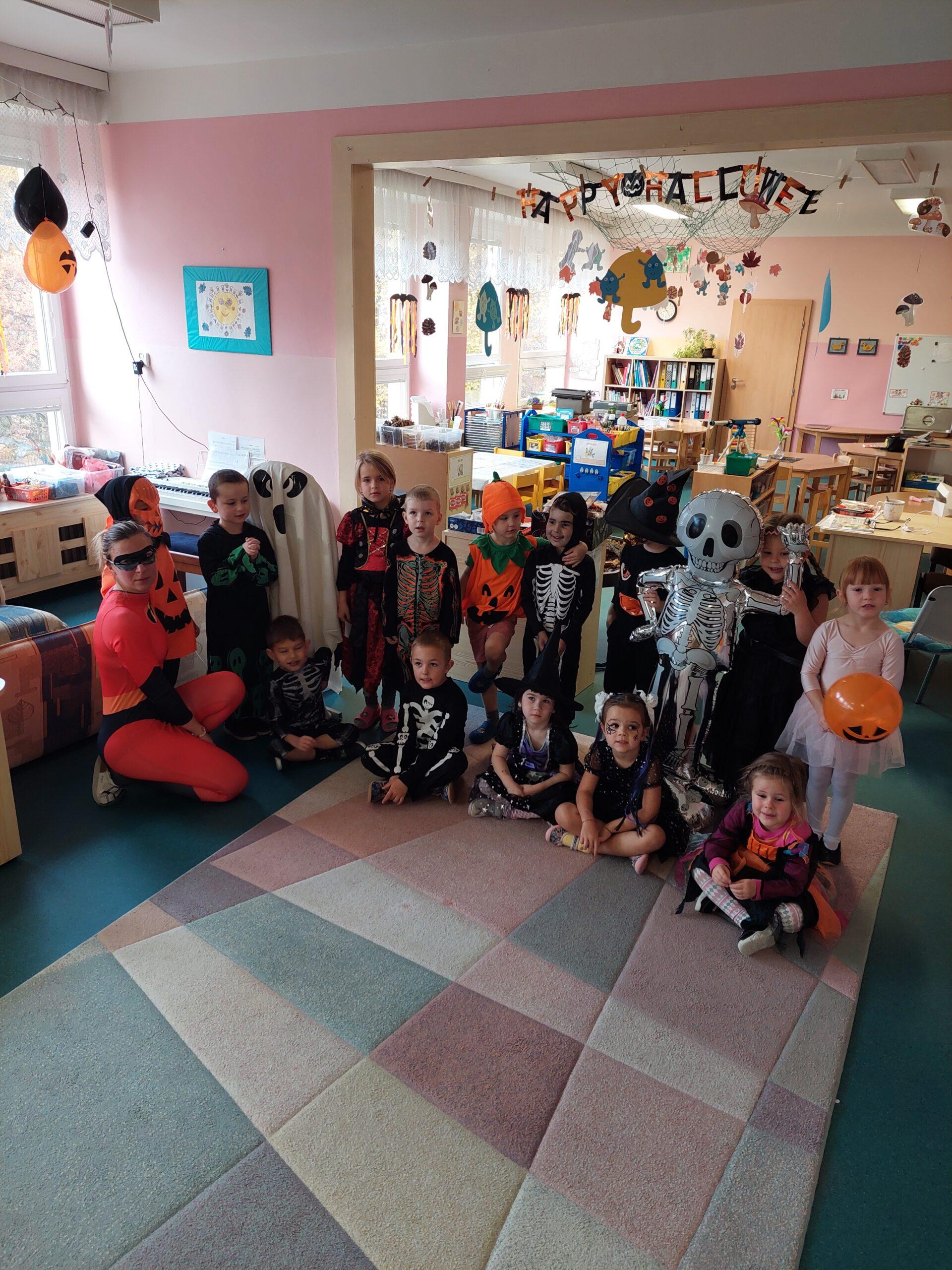 Třída B - dýně, listy (12)