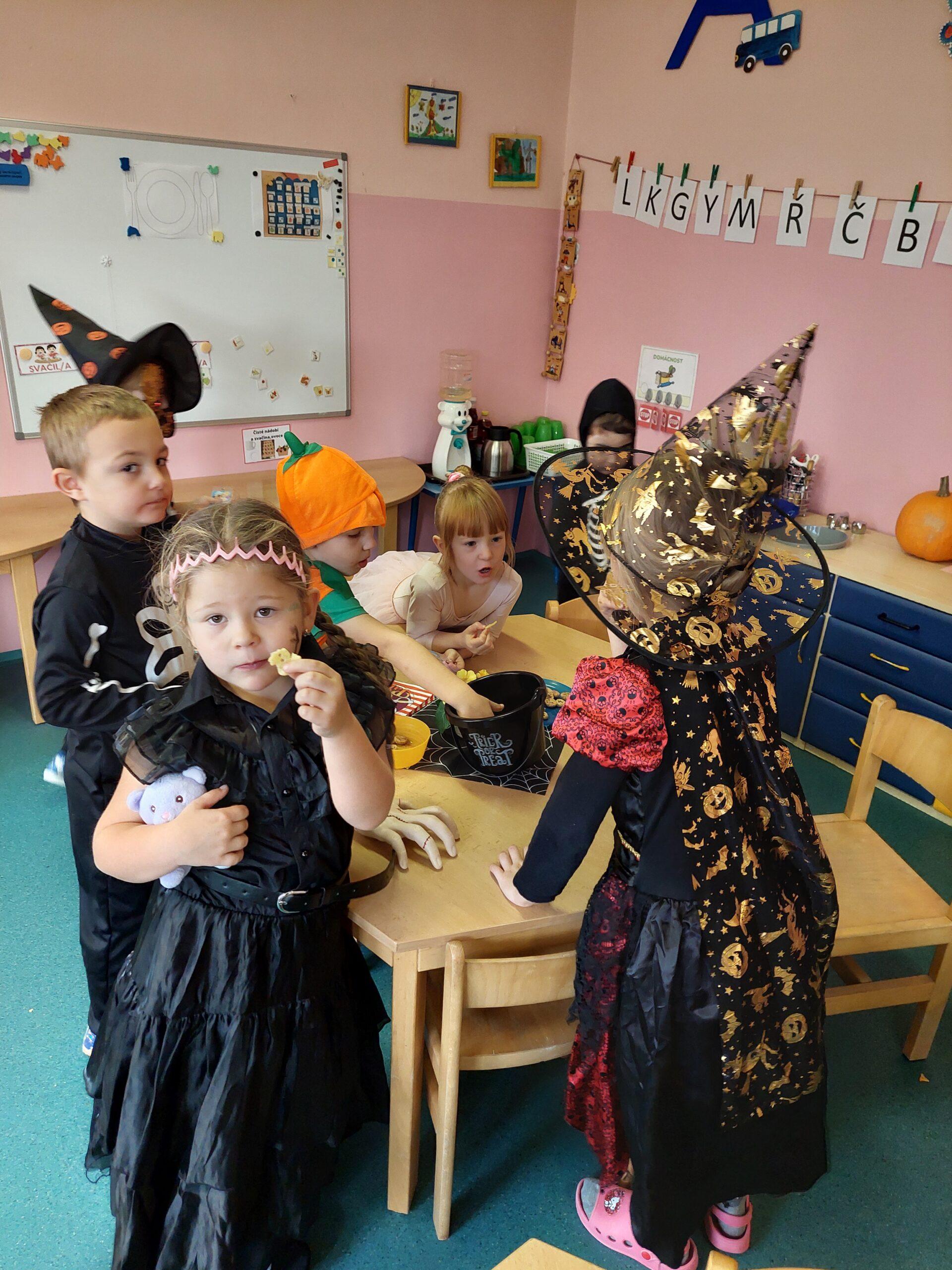 Třída B - dýně, listy (13)