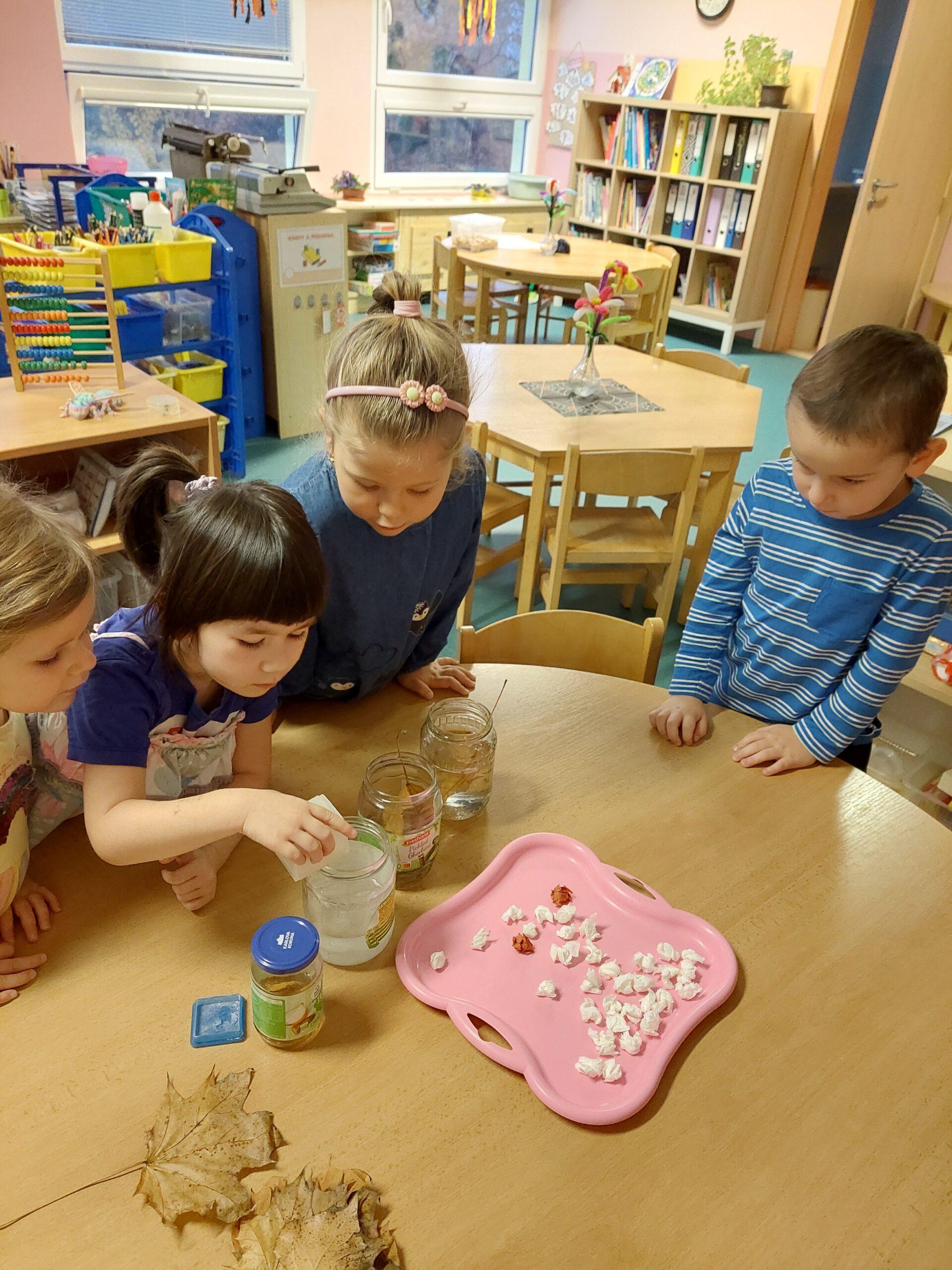 Třída B - dýně, listy (4)