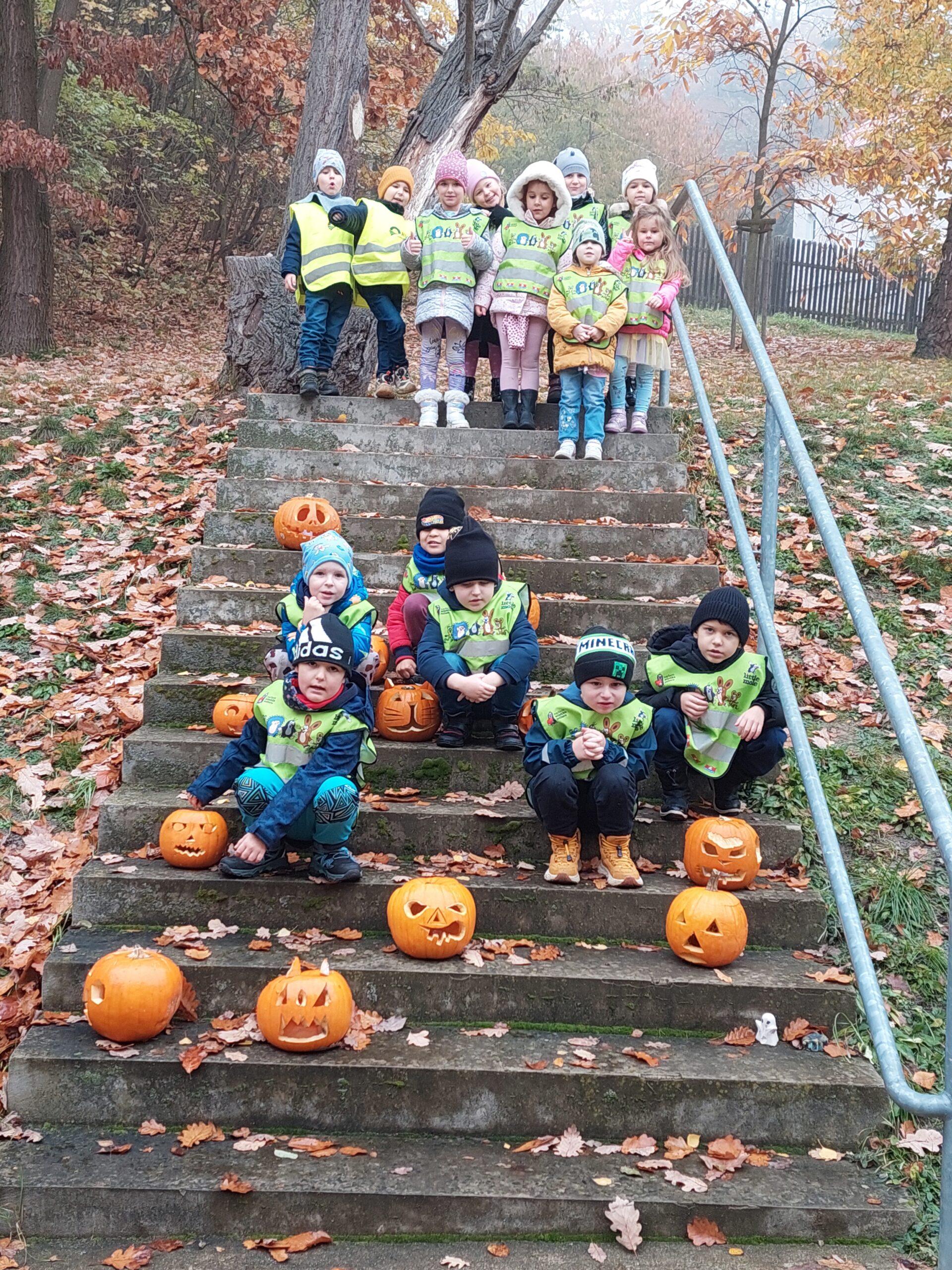 Třída B - dýně, listy (8)