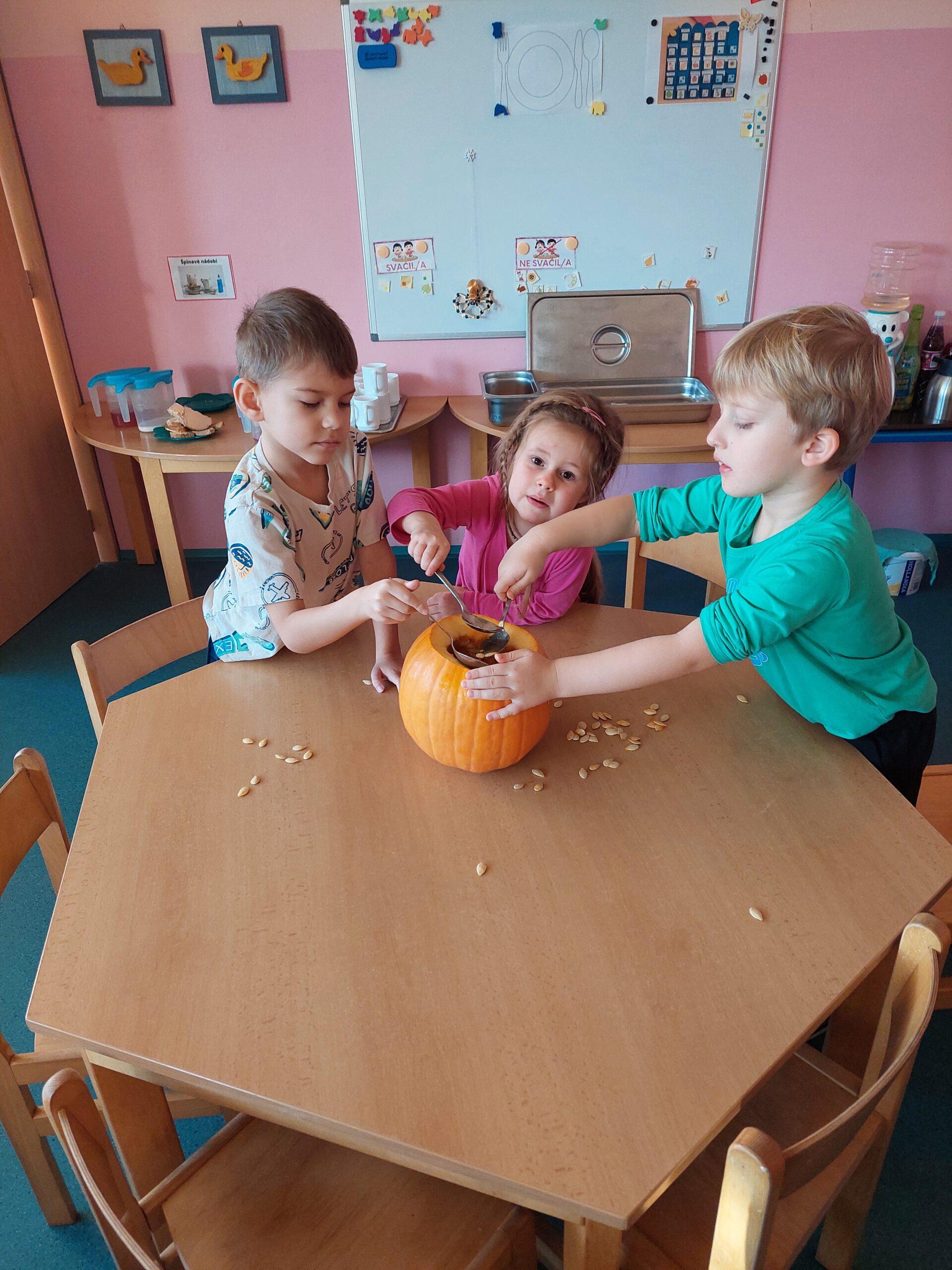 Třída B - dýně, listy (9)