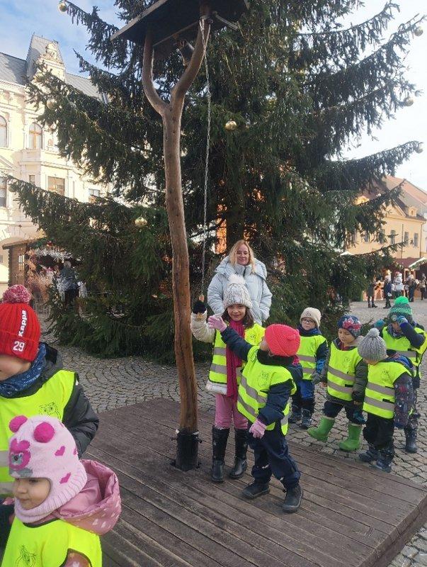 IMG20241211104553