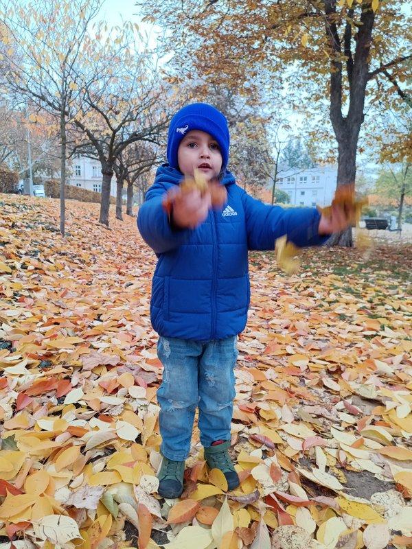 IMG_20251107_102608_BURST1