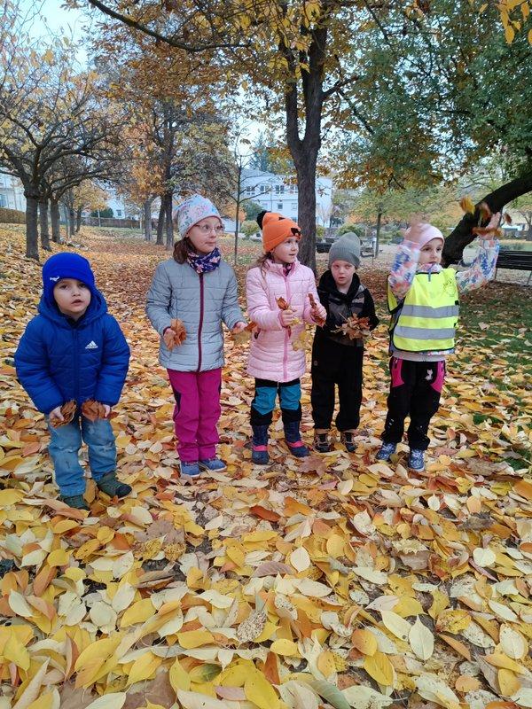 IMG_20251107_102803_BURST1