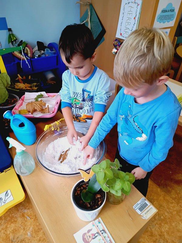 IMG_20251110_092721_103