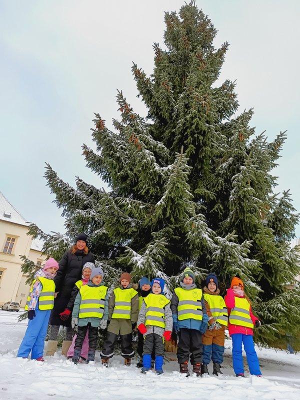 IMG_20251125_103116_175