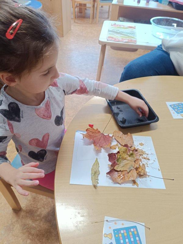 Obrázek WhatsApp, 2025-11-06 v 14.17.20_c569a68a