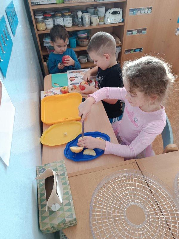 Obrázek WhatsApp, 2025-11-18 v 13.40.52_c6146630