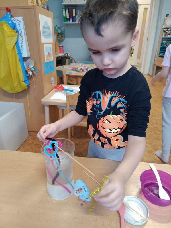 WhatsApp Image 2026-01-27 at 15.31.19