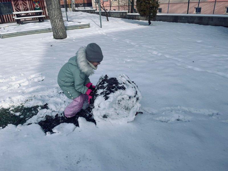 WhatsApp Image 2026-02-17 at 17.44.30 (1)