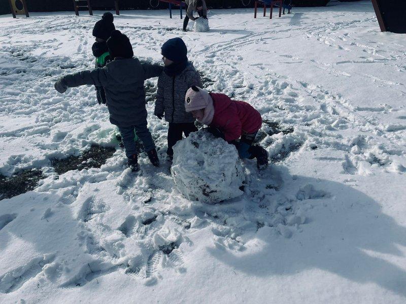 WhatsApp Image 2026-02-17 at 17.44.30 (2)