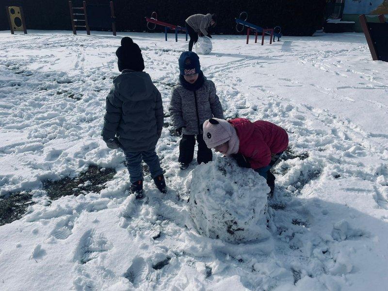 WhatsApp Image 2026-02-17 at 17.44.30