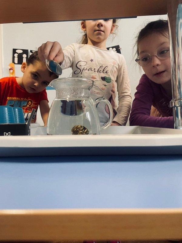 WhatsApp Image 2026-02-20 at 16.54.22 (1)