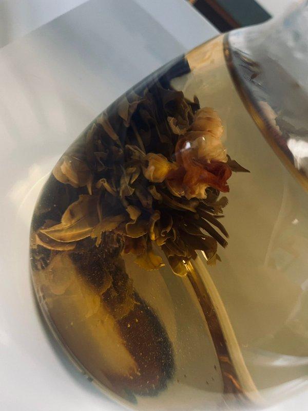 WhatsApp Image 2026-02-20 at 16.54.22