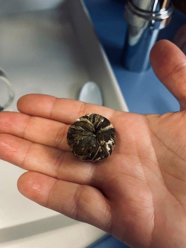 WhatsApp Image 2026-02-20 at 16.54.23