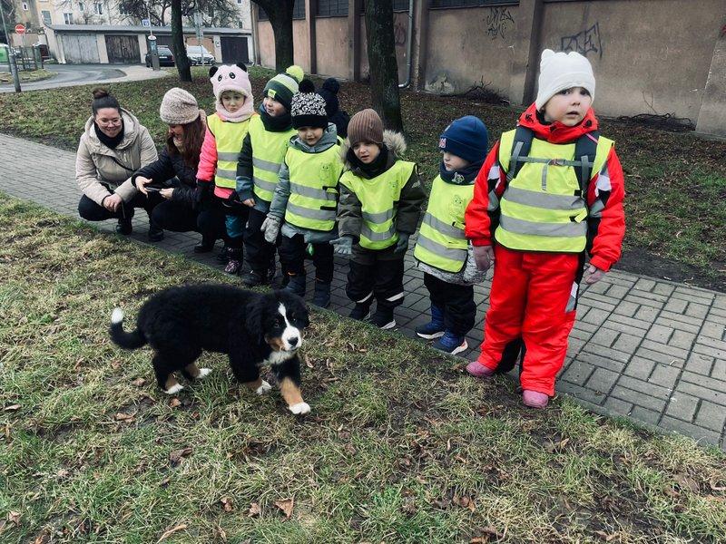 WhatsApp Image 2026-03-01 at 13.46.45 (2)