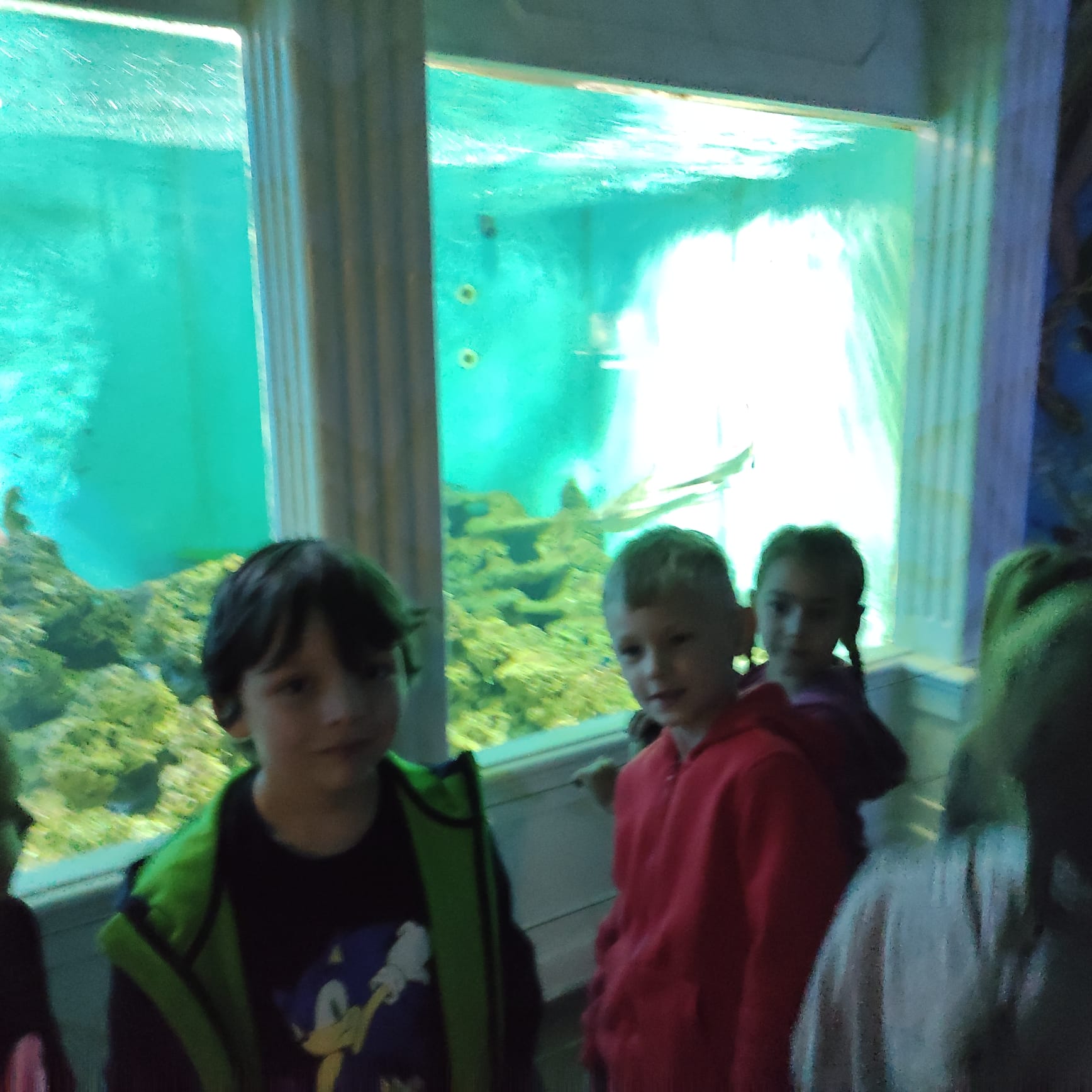 IMG-20220623-WA0013