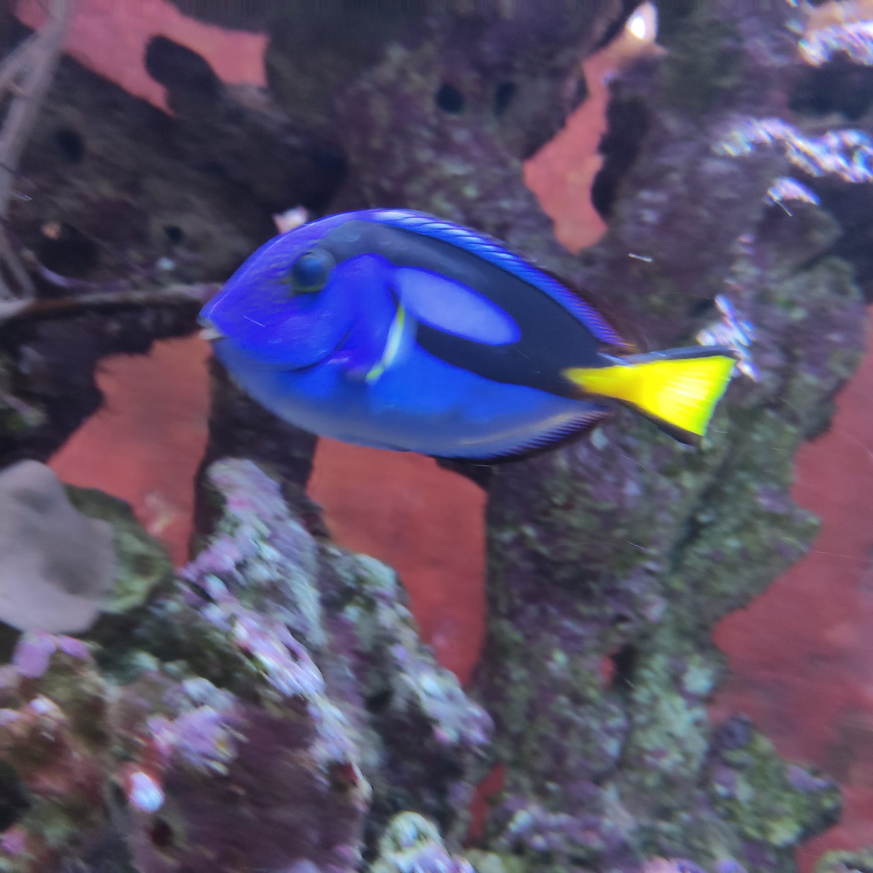 IMG-20220623-WA0016