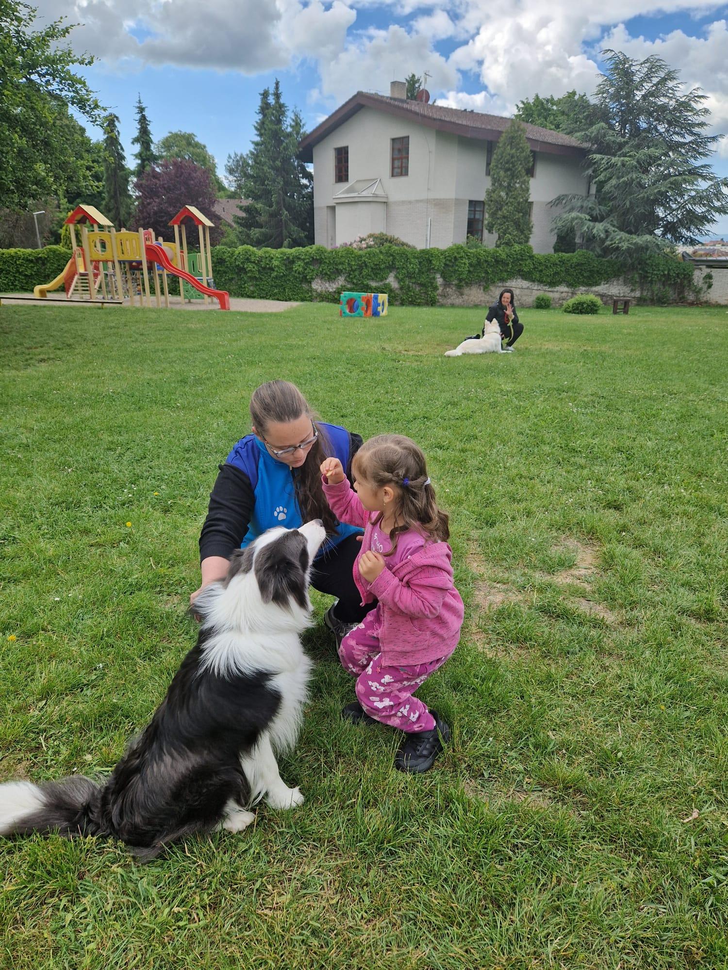 IMG-20250527-WA0008