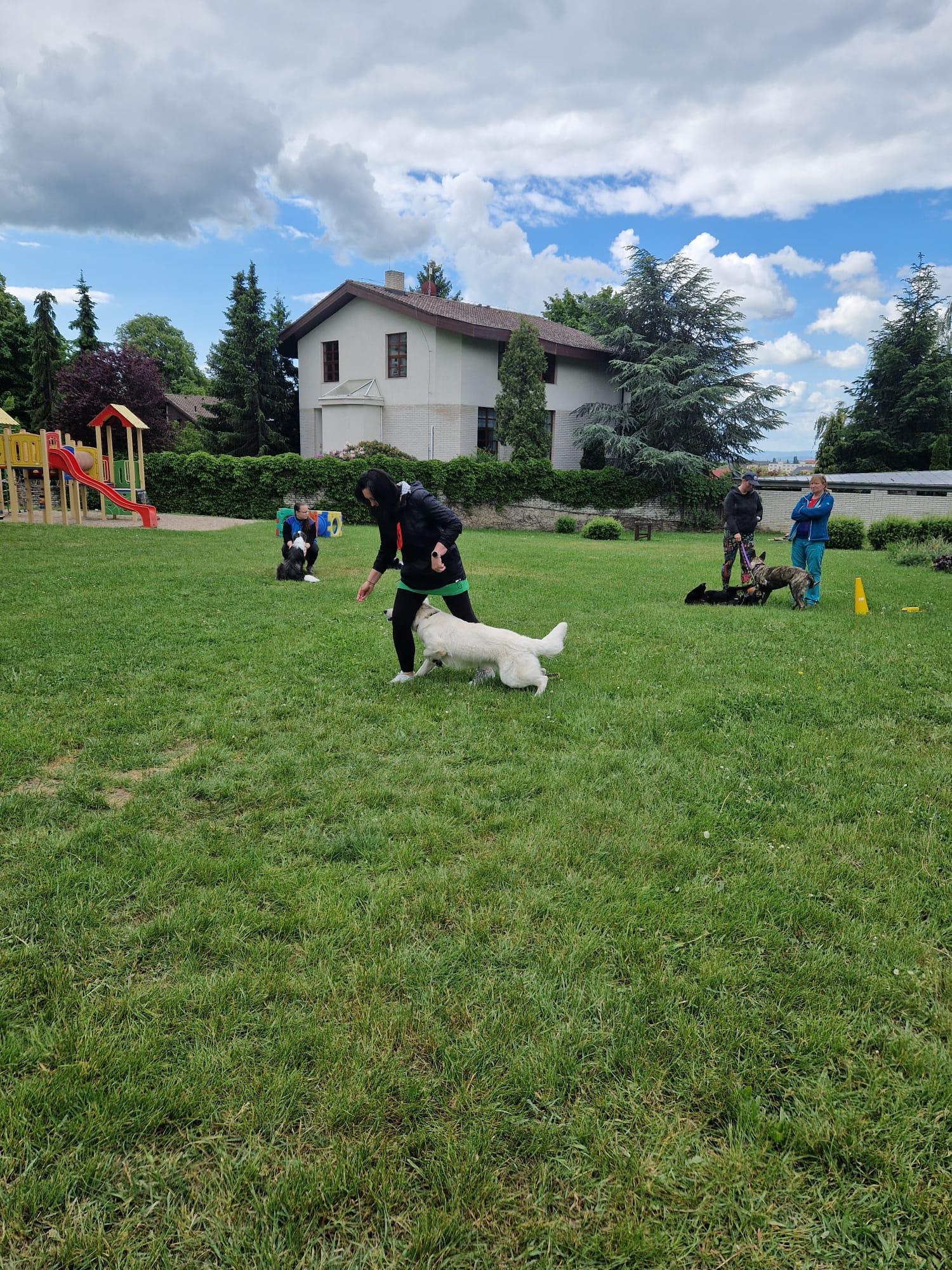 IMG-20250527-WA0010
