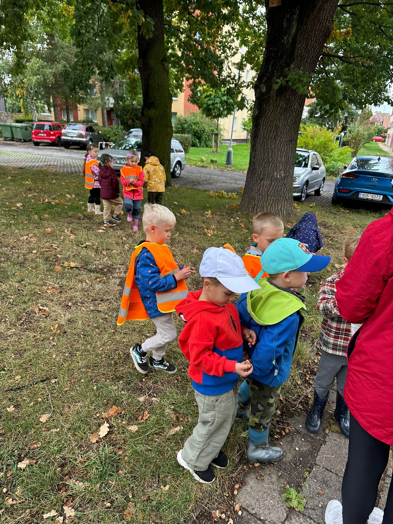 IMG-20250926-WA0023